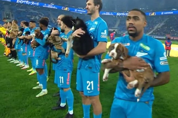 Of Players and Puppies