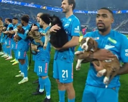 Of Players and Puppies