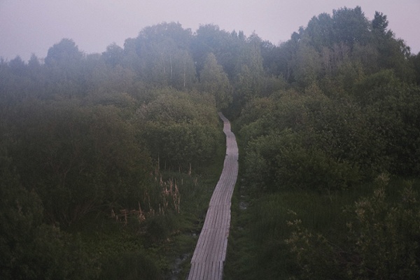 Forest Road