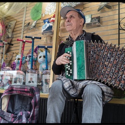 The Musician
