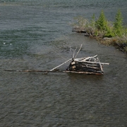 A hide subsumed by spring flooding