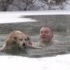 It's a Dog's Life (in Russia)