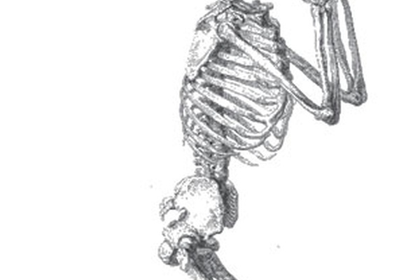 Стой там, иди сюда!