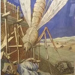 Mosquitoes