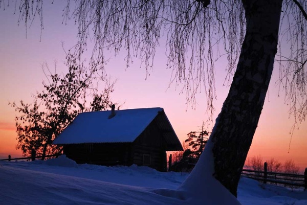 Winter Scene