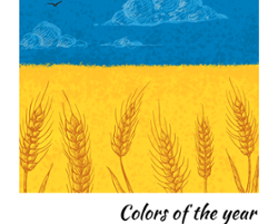 Support Ukrainian Charities