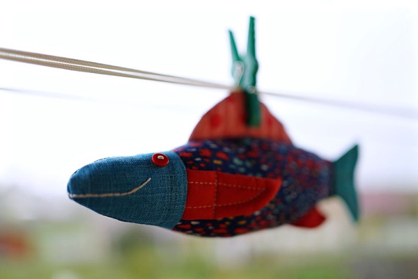 One Fish.
