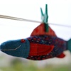 One Fish.