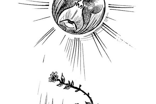 It's Spring, Say Thank you to the Party!