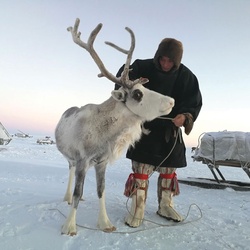 Robert and one of his reindeer.