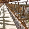 Cages