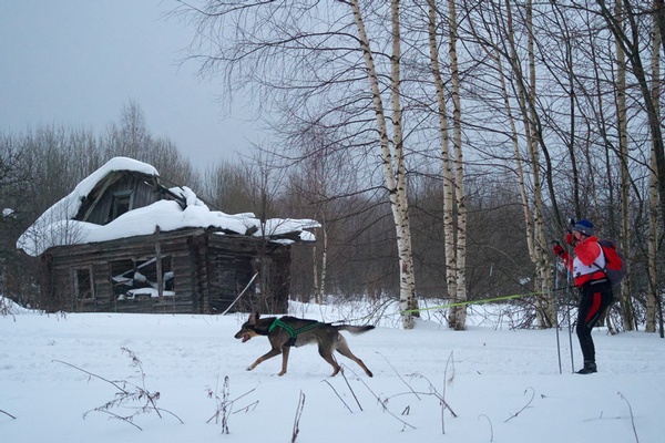 A Race With a Heart (of a Dog)