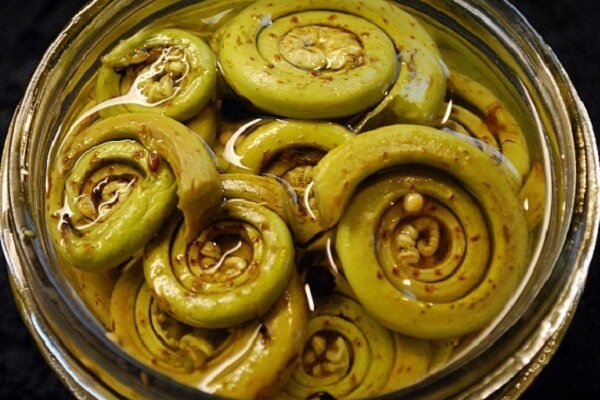 Tis the Season for Pickled Ferns and Ice Cream