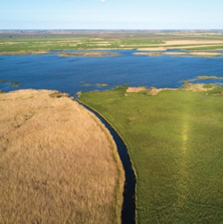 Delta