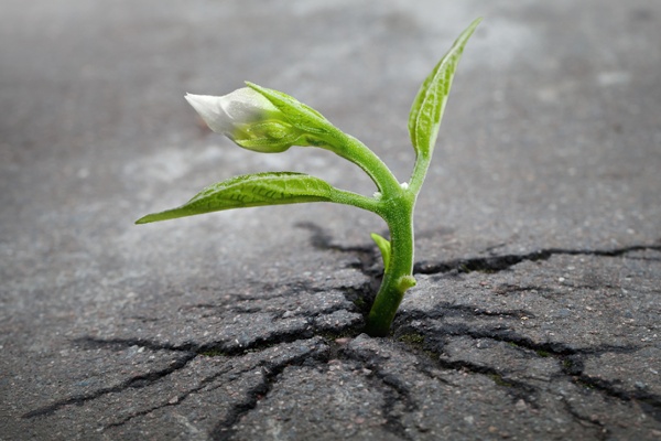 Why No 2023 Calendar?