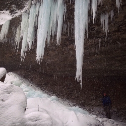 Icicles