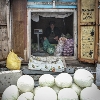 Trader