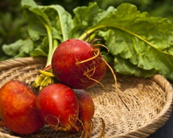 Un-Beet-able Prices?