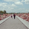 Students