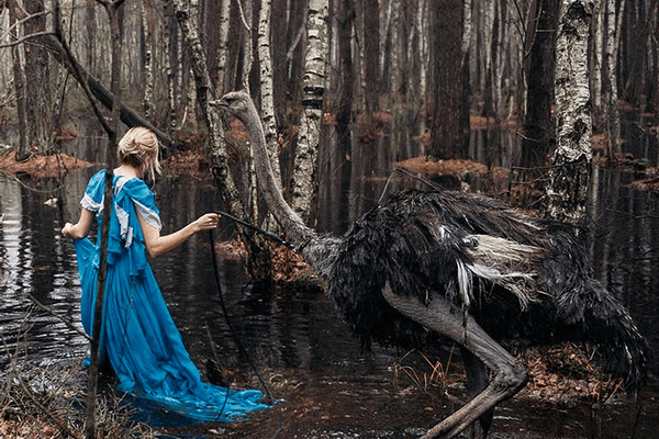 Floods of water, juice, and trendy ostrich photos