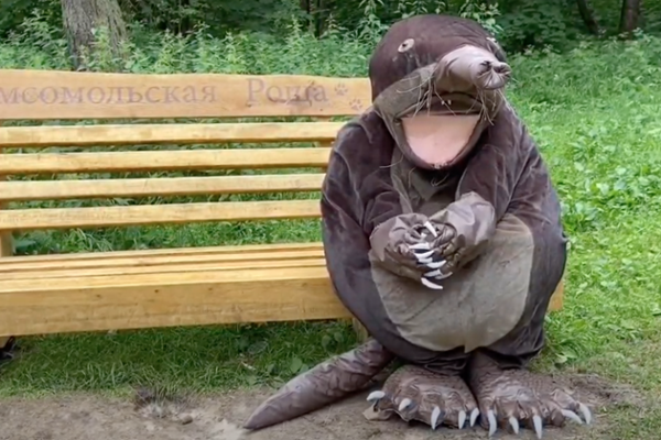 Not All Eco-Heroes Wear Capes