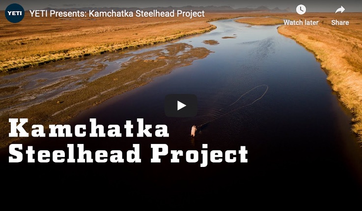 Saving Steelhead in Kamchatka