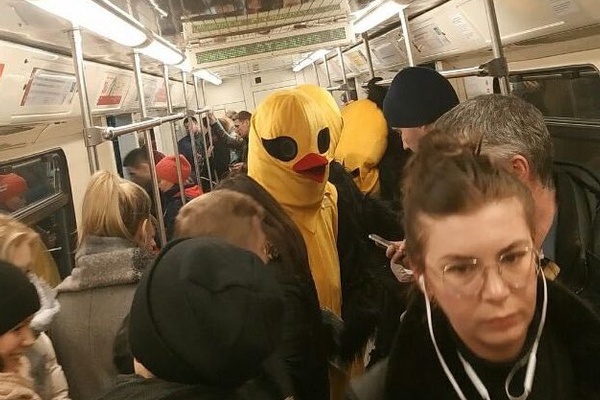 Dumbledovich and the Chamber of Bovine Distractions