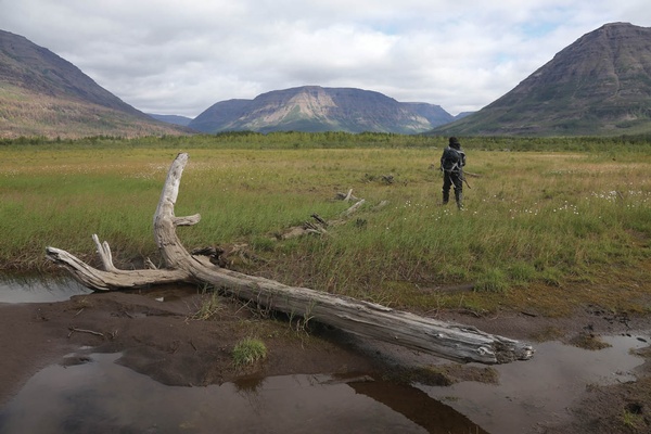 Siberia's Primordial Colors