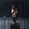 Behind the cage