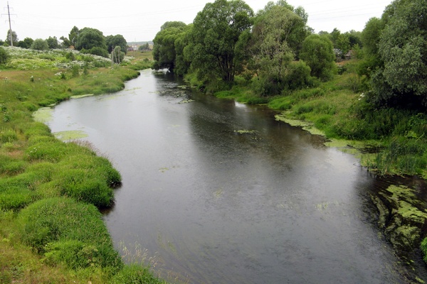 A Great Overlooked Victory