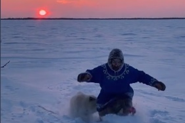 TikTok Gets Cultured