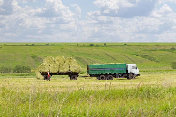 Harvesting