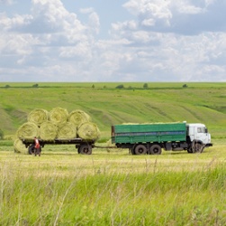 Harvesting