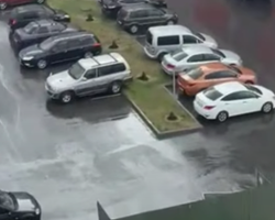 A Pretty Penny to Park