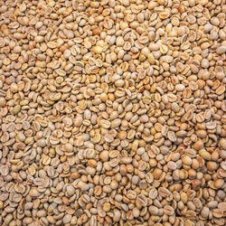 Beans, Before Roasting