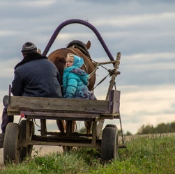 Rural Scene