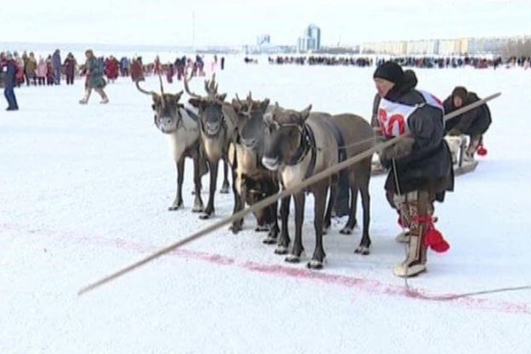 Smart Homes, Sledgehammers, and Star Wars References