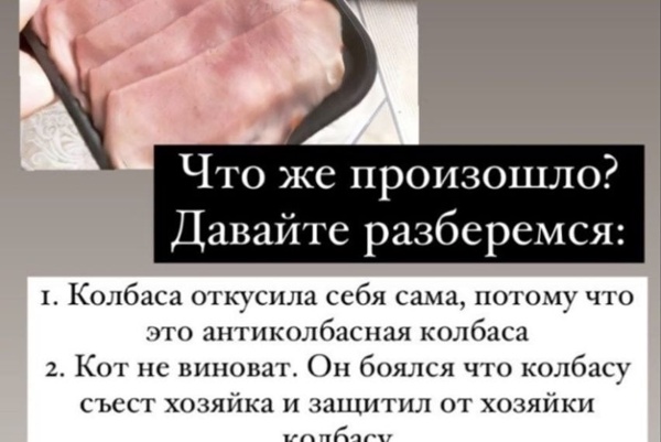 Russian Denials Inspire Pet Meme