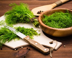 For the Love of Dill