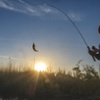Perch