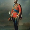 Alexander's Constitution