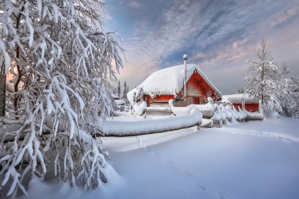 Notable New Film: The Concert