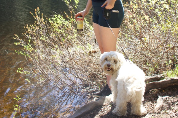 Drinking Not En-Cur-Aged